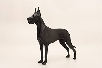 Amazon.co.jp: Mr.Z 1/6 サイズ グレート・デーン 犬 動物 リアル